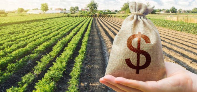 Tax Exemption On Agriculture Income